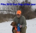Dog Canidae Sporting Group Winter Hunting dog