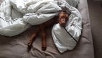 2013-10-02 07.22.25 - good morning sunshine.jpg