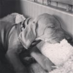 photo (7).JPG